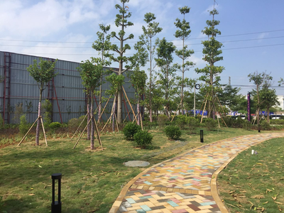 大业园林绿化案例-陆丰市东海经济开发区小区园林建设工程