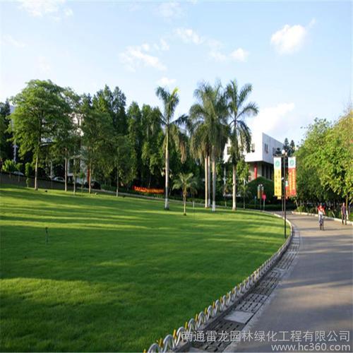 南通雷龙园林绿化工程 高速绿化销售优惠及工程服务解析